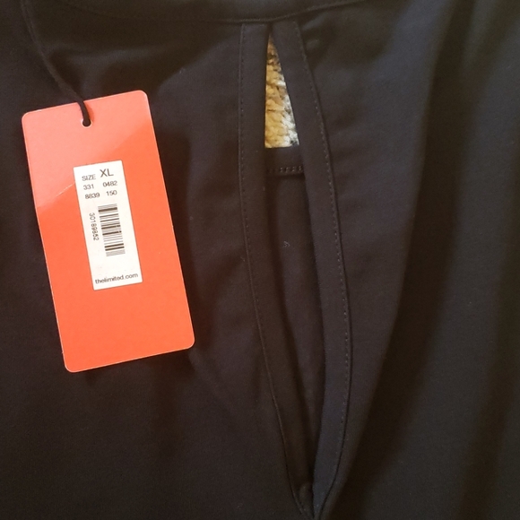 The Limited Dress - Picture 4 of 5